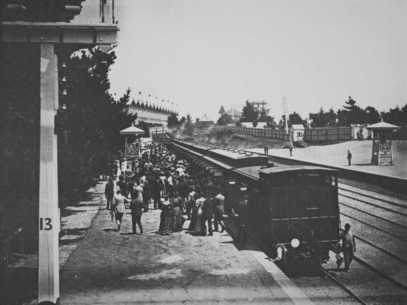 Train Arriving at the Course, 1894