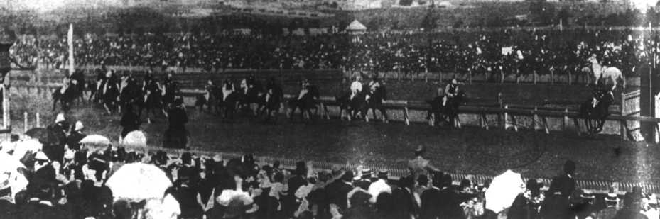 Finish of the race for the Melbourne Cup, 1896